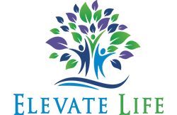 Chiropractic Calgary NW Elevate Life